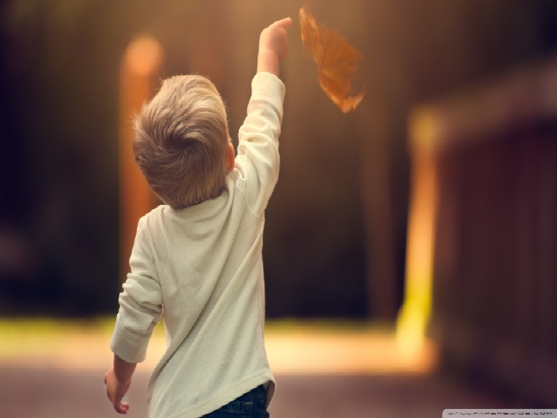 优育试管婴儿（安琪儿试管好吗）